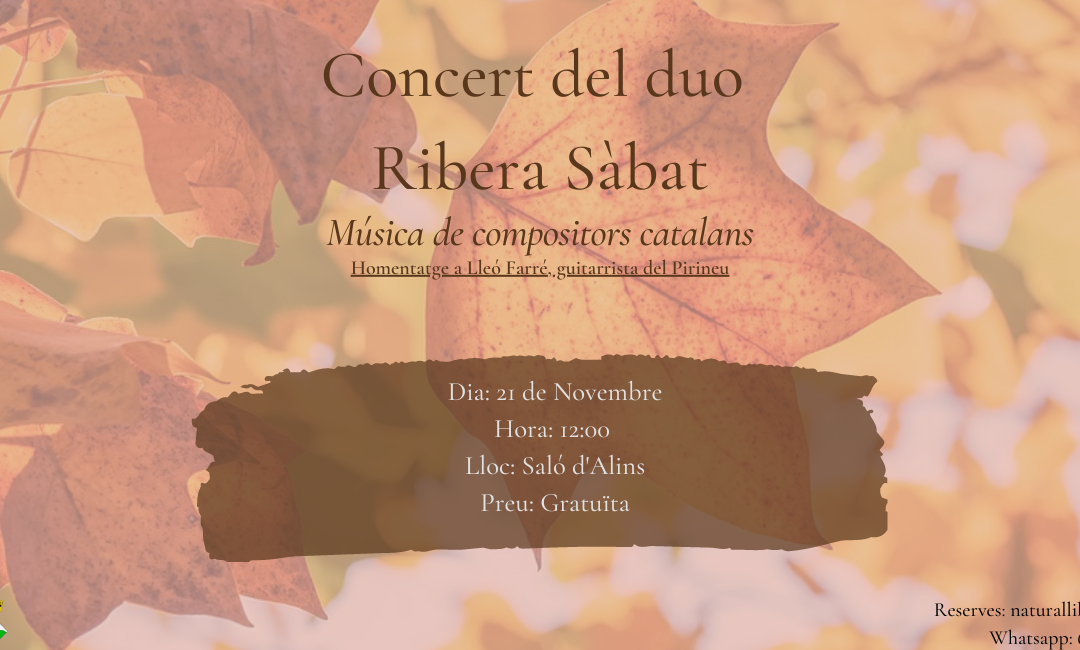 Concert del duo Ribera Sàbat