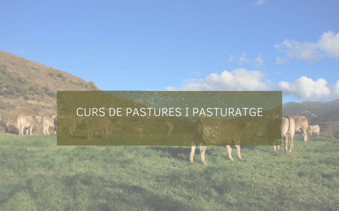 Curs de Pastures i Pasturatge