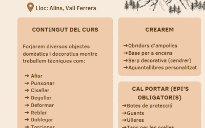 Curs de Forja