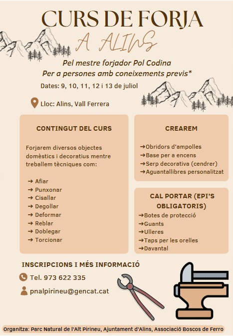 Curs de Forja